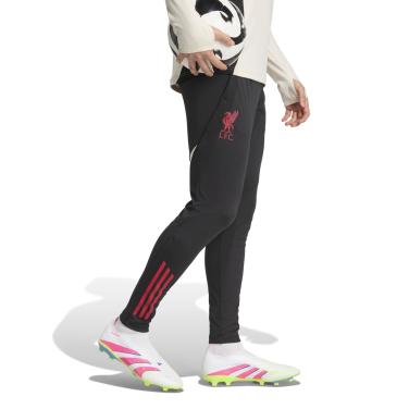 Adults Liverpool Training Pant