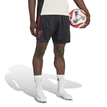 Adults Liverpool Training Short