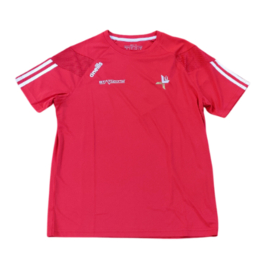 Adults Louth Gaa Tour Top