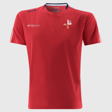 Adults Louth Hydra Training T-Shirt